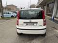 Fiat Panda 1.2 Dynamic Natural Power FUNZIONA PERFETTAMENTE Blanc - thumbnail 8