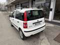 Fiat Panda 1.2 Dynamic Natural Power FUNZIONA PERFETTAMENTE Blanc - thumbnail 7