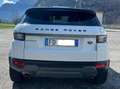 Land Rover Range Rover Evoque Range Rover Evoque 5p 2.0 TD4 150cv 4x4 Bianco - thumbnail 3