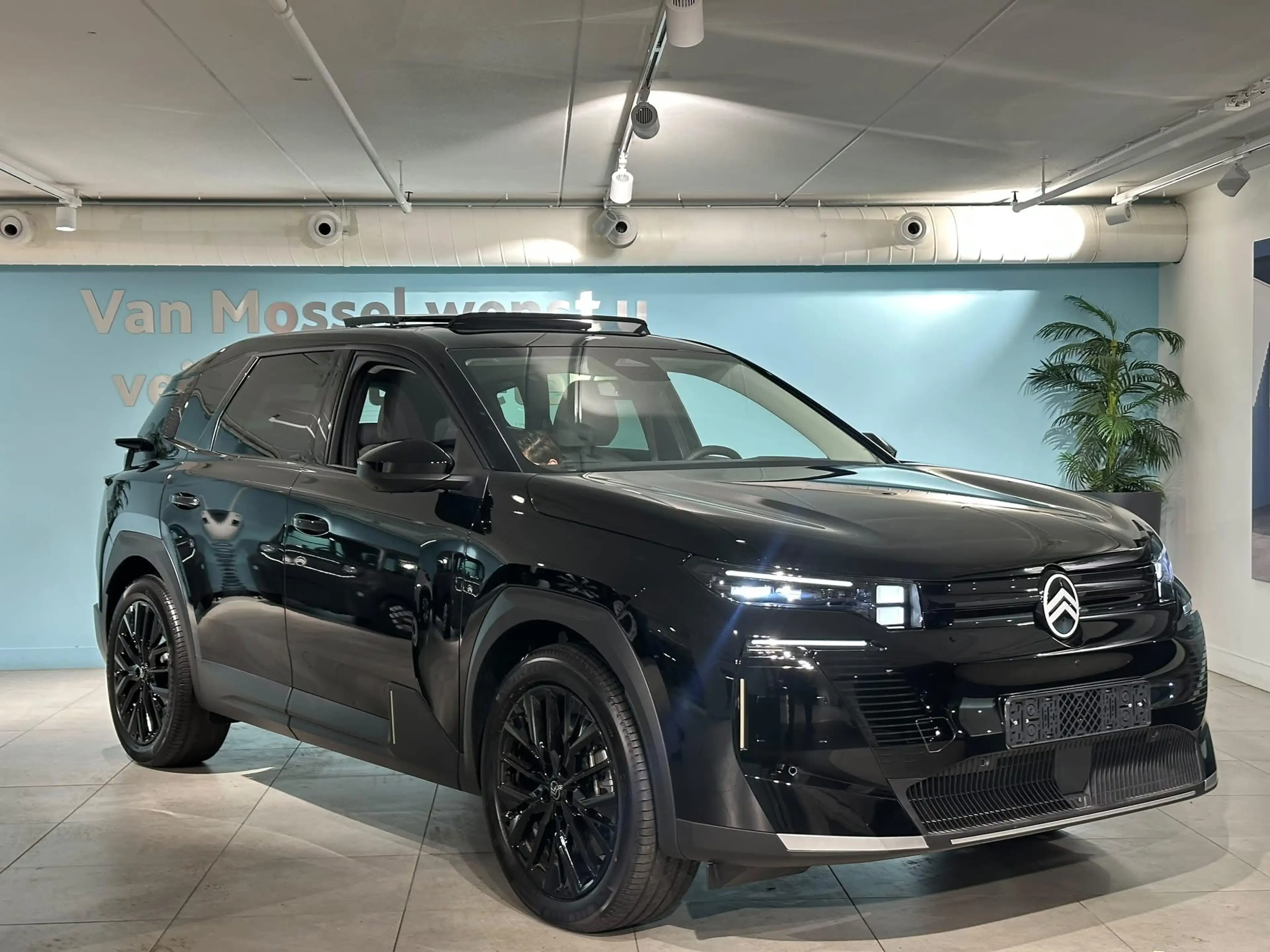 Citroen C5 Aircross Max Comfort Range 74 kWh | Panorama dak | Adaptive — photo 6
