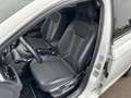 Volkswagen Polo 1.0 TSI 95pk Comfortl Digitaal Dash Multi Media Cl Weiß - thumbnail 22
