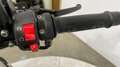 Benelli Leoncino 500 2022 - KM.22000 - PAT A2 Nero - thumbnail 13