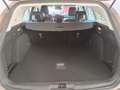 Ford Focus FOCUS TREND BUSINESS 1.0L EBOOST 125PS M6TR Grau - thumbnail 6