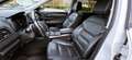 Renault Koleos Koleos II 2022 2.0 dci Executive 190cv x-tronic Blanco - thumbnail 7