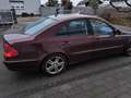 Mercedes-Benz E 200 E 200 Kompressor (211.041) Rot - thumbnail 2