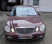 Mercedes-Benz E 200 E 200 Kompressor (211.041) Rot - thumbnail 4