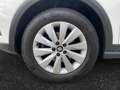 SEAT Arona 1.0 TSI Xcellence ACC/Einparkhi/LED Blanc - thumbnail 15