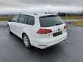 Volkswagen Golf Variant 1.6 TDI DSG Sound,LED,Navi Weiß - thumbnail 6