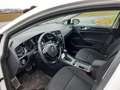 Volkswagen Golf Variant 1.6 TDI DSG Sound,LED,Navi Weiß - thumbnail 10