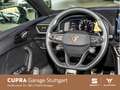 CUPRA Leon Sportstourer 2.0 TSI VZ DSG 221 kW *SHZ* *E Schwarz - thumbnail 10