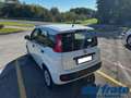 Fiat Panda III 1.2 8v 69Cv Easy Bianco - thumbnail 3