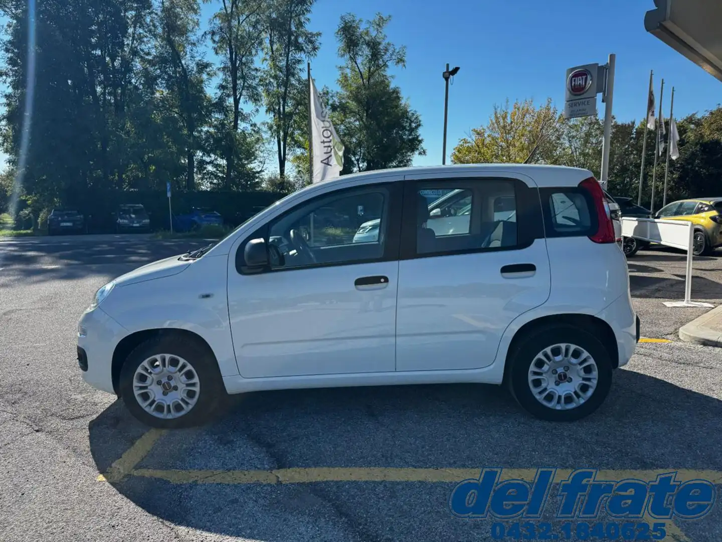 Fiat Panda III 1.2 8v 69Cv Easy Bianco - 2