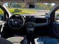 Fiat Panda III 1.2 8v 69Cv Easy Bianco - thumbnail 11