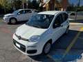 Fiat Panda III 1.2 8v 69Cv Easy Bianco - thumbnail 1