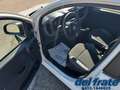 Fiat Panda III 1.2 8v 69Cv Easy Bianco - thumbnail 9