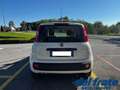 Fiat Panda III 1.2 8v 69Cv Easy Bianco - thumbnail 4