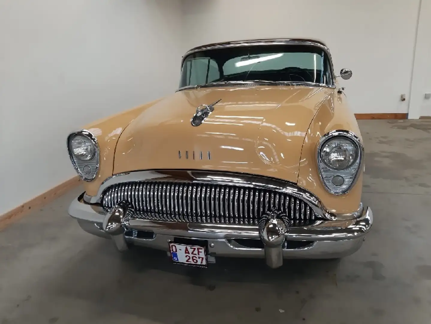 Buick Special Braun - 1