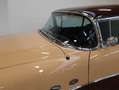 Buick Special Braun - thumbnail 3