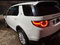 Land Rover Discovery Sport Discovery Sport SD4 Aut. HSE Weiß - thumbnail 2