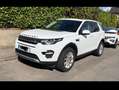 Land Rover Discovery Sport Discovery Sport SD4 Aut. HSE Weiß - thumbnail 1