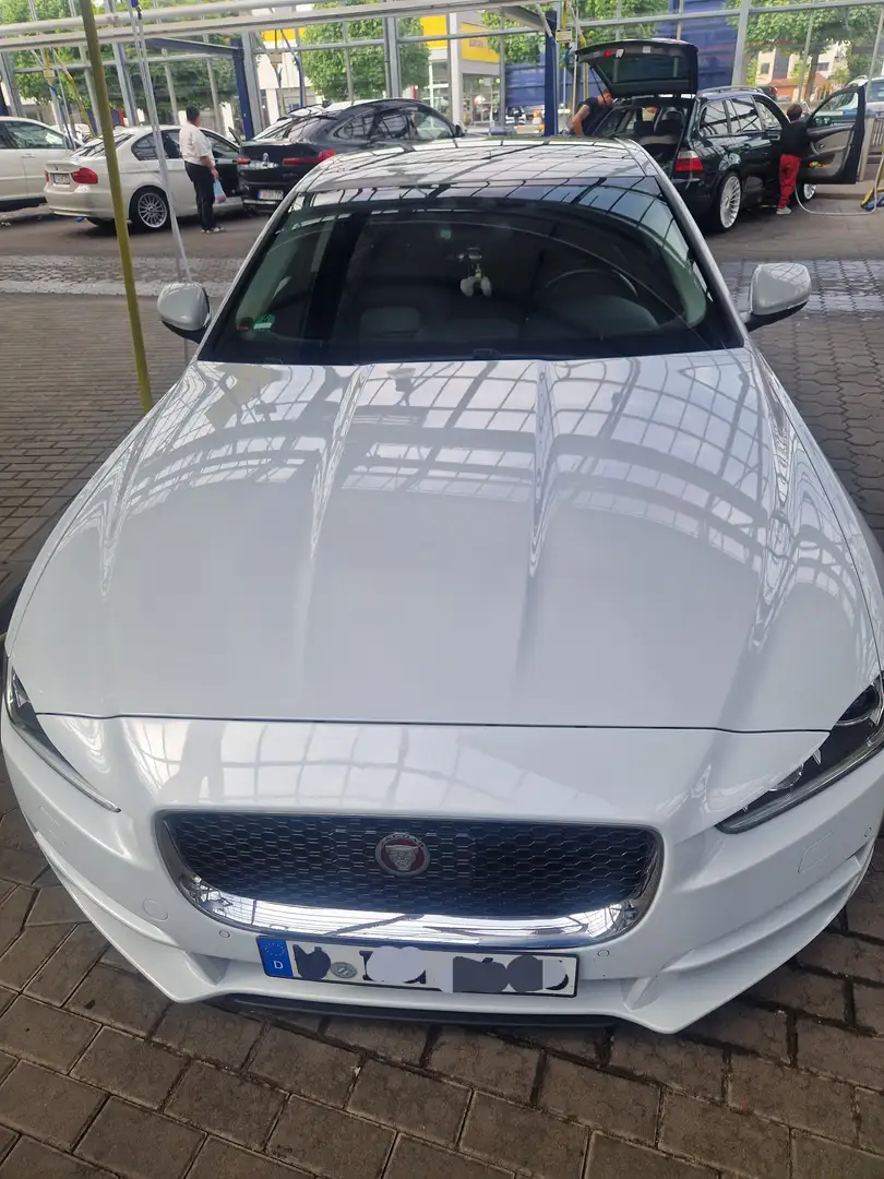 Jaguar XE XE 20d AWD Aut. Pure Weiß - 1