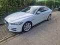 Jaguar XE XE 20d AWD Aut. Pure Weiß - thumbnail 4