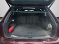 Volkswagen Touareg Elegance 3.0 V6 eHybrid AHK PANO MATRIX Rot - thumbnail 15