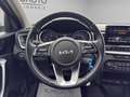 Kia XCeed 1.0 T-GDi GPL Business 117CV Grigio - thumbnail 12