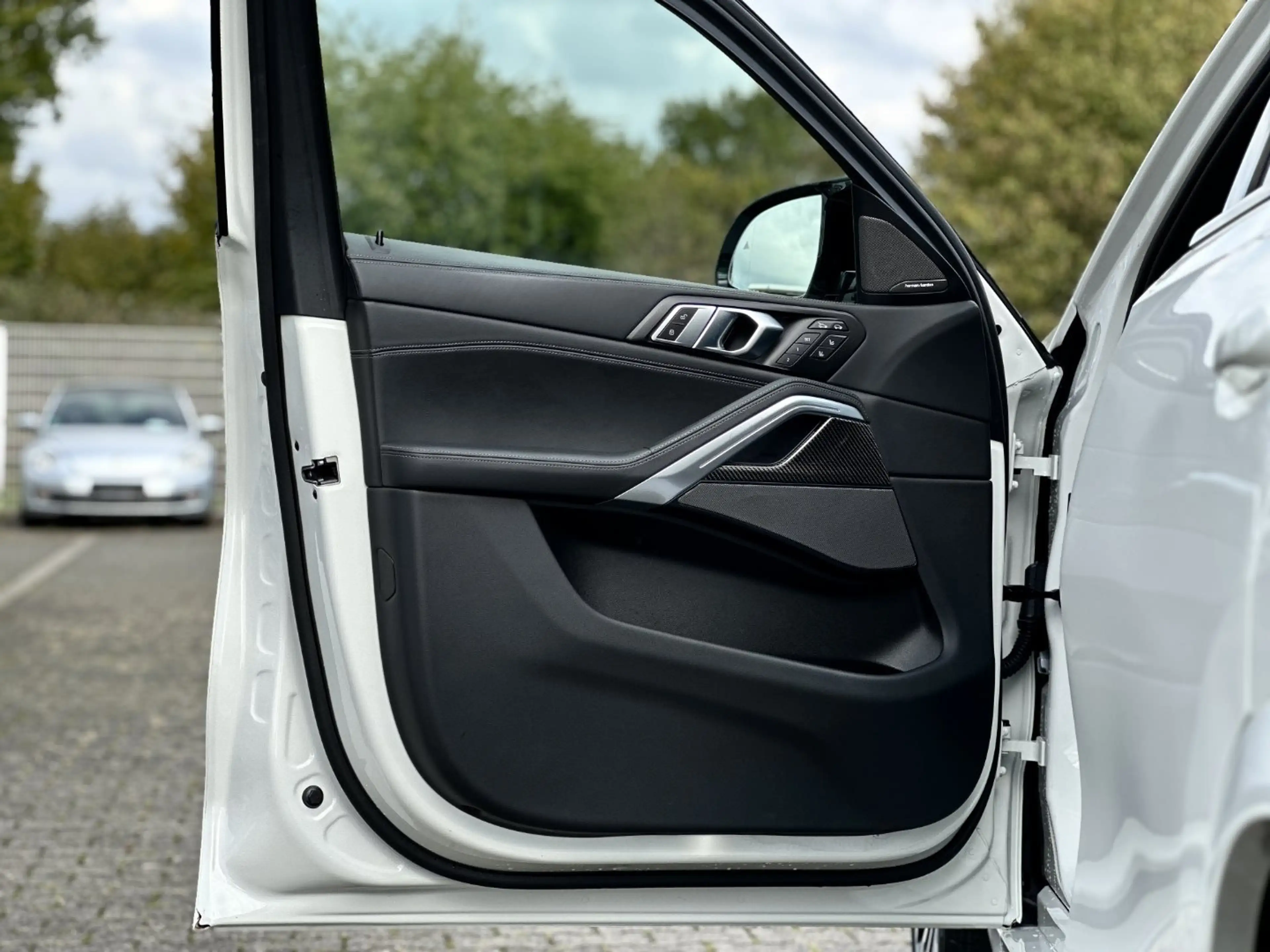 BMW X6 M60i xDrive Gestiksteuerung HK HiFi DAB LED — photo 9