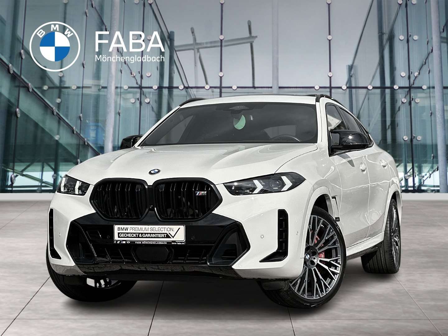 2023 BMW X6