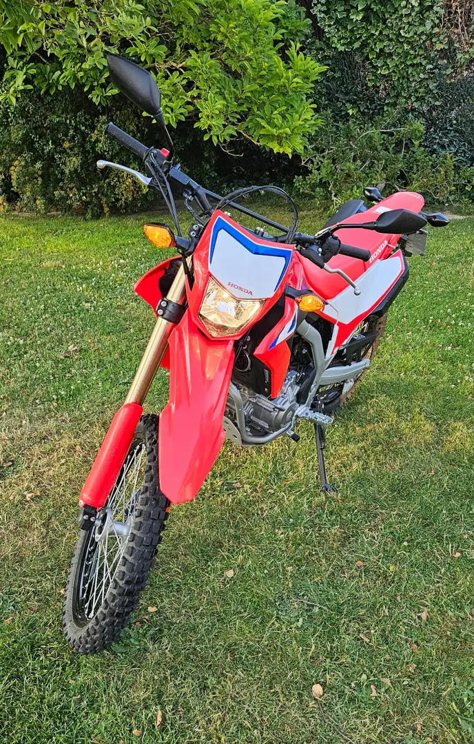 Honda CRF 300 L CRF 300 L Czerwony - 2