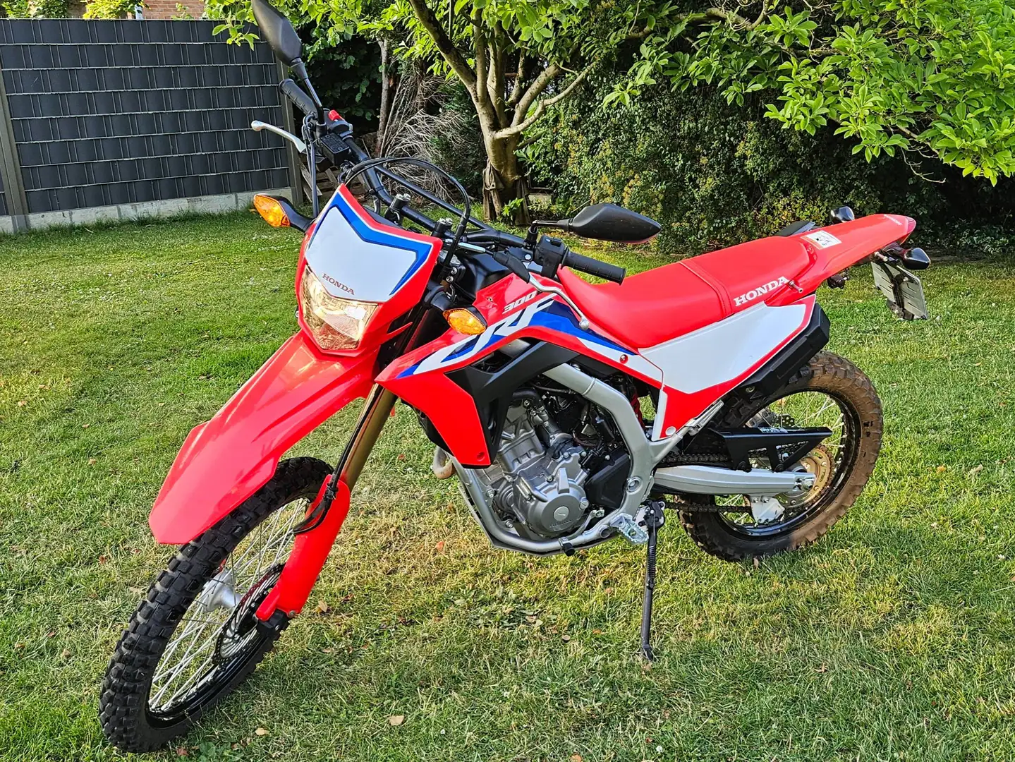 Honda CRF 300 L CRF 300 L Czerwony - 1