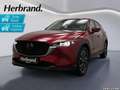 Mazda CX-5 2.2 SKYACTIV-D EXCLUSIVE LED AHK WKR Rood - thumbnail 1