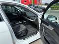 Audi A4 Avant 40 TDI quattro 2x S line/AHK/ACC/VC+ Weiß - thumbnail 18