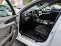 Audi A4 Avant 40 TDI quattro 2x S line/AHK/ACC/VC+ Weiß - thumbnail 9