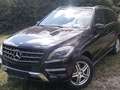 Mercedes-Benz ML 350 ML 350 BlueTEC 4MATIC Aut. DPF Schwarz - thumbnail 4
