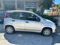 Fiat Panda Panda III 2016 1.2 Easy s Silber - thumbnail 6