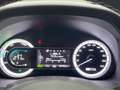 Kia Niro 1.6 GDi DCT HEV Energy Blu/Azzurro - thumbnail 13