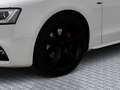 Audi A5 Sportback 2.0 quattro TFSI Navi LM KlimaA Beyaz - thumbnail 7