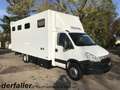 Iveco Daily 4 Pferde top Nutzlast Blanc - thumbnail 1