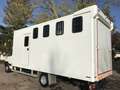 Iveco Daily 4 Pferde top Nutzlast Blanc - thumbnail 4