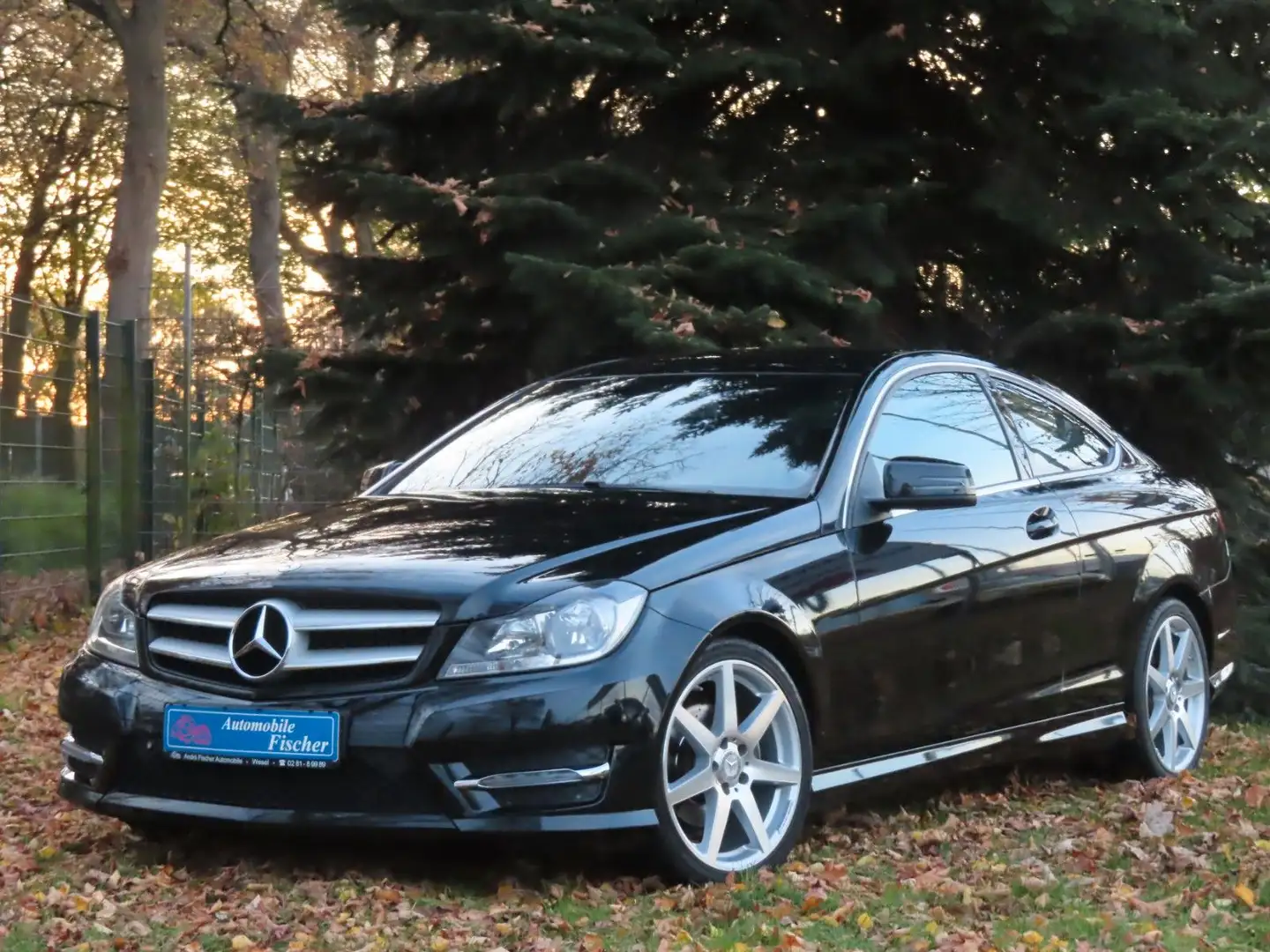 Mercedes-Benz C 220 CDI Coupe "Schwarz-met.-AMG Paket-Navi" Schwarz - 1