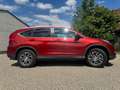 Honda CR-V CR-V 1,6i-DTEC Executive 4WD Executive Rot - thumbnail 4
