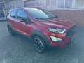 Ford EcoSport Active Rot - thumbnail 8