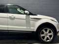 Land Rover Range Rover Evoque 2.2L eD4 Pure 4x2 Blanc - thumbnail 7