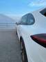 Porsche Cayenne Cayenne 3.0 tiptronic GTS Bianco - thumbnail 4