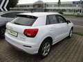 Audi Q2 35 TFSI sport Weiß - thumbnail 6