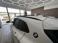 BMW X2 xDrive 20iA M Sport Blanco - thumbnail 49