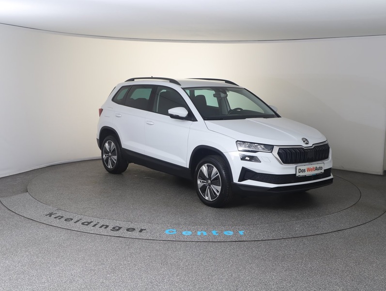 Skoda Karoq Ambition TDI DSG — photo 6