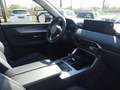 Mazda CX-60 2.5 PHEV HOMURA CON DRI COM PAN Rouge - thumbnail 7